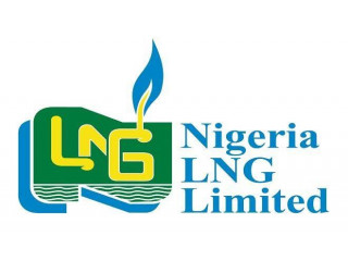 Logo Nigeria LNG